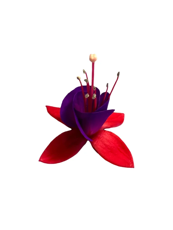 Photoroom_20251231_132735 Fuchsia