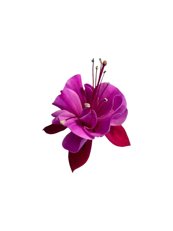 Photoroom_20251231_132955 Fuchsia
